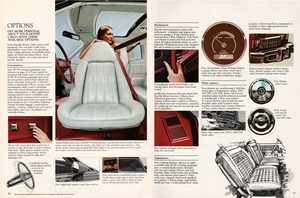 1975 Chevrolet Monte Carlo (Cdn)-10-11.jpg